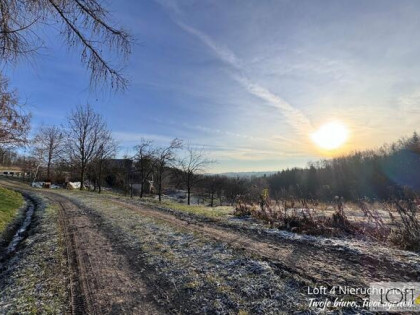 Dom Rzepiennik Marciszewski gm. Gromnik