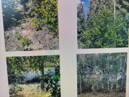 Nieruchomość gruntowa