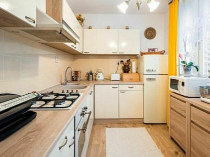 Przytulne mieszkanie 1-pokojowe wynajem Warszawa