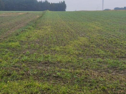 ️Działka rolna z lasem i przeznaczeniem inwestycyjnym (PU)