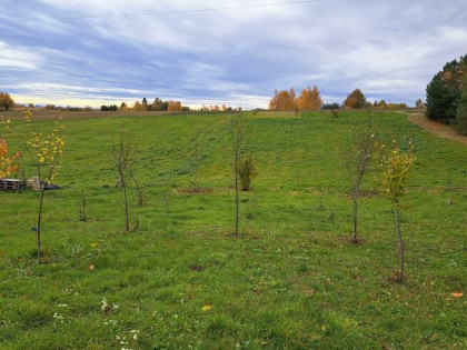 Działka budowlana Szczodrkowice gm. Skała