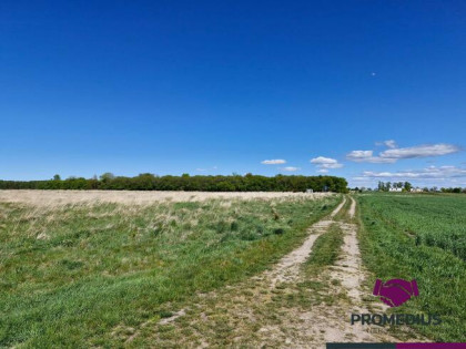 Działka budowlana Koszalin, Julków Jamneńskich