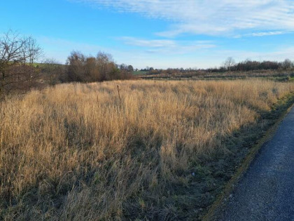 Działka rolna Skała