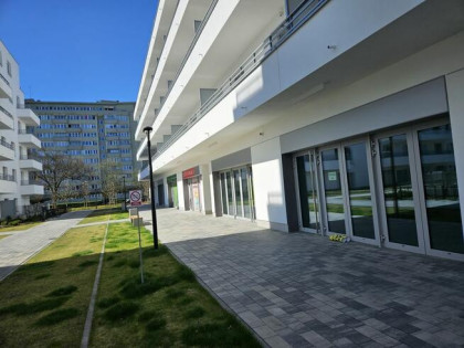 Lokal użytkowy Warszawa gm. Praga-Południe Praga-Południe, Saska Kępa, Murmańska