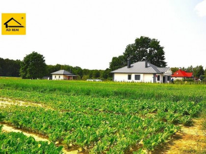 Dom Nałęczów Wąwozy, Nałęczów