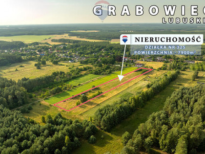 Na sprzedaż działka rolna 7900 m2, pod lasem