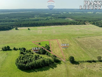 Na sprzedaż działki rolne, łącznie 9.600 m²