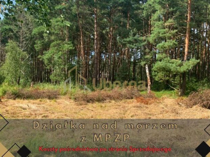 Działka nad morzem