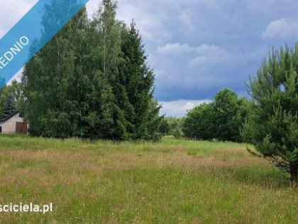 Sprzedam siedlisko 4000 m2 Cisza i spokój, dojazd z Warszawy trasą S7