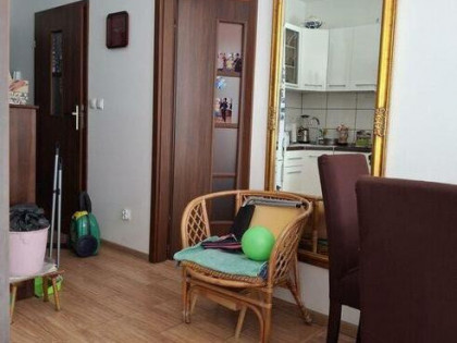 Mieszkanie do wynajęcia