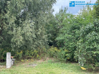 Kształtna działka w Święcicach