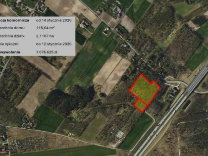 Blisko Łodzi, las, ogromna działka, licytacja komornicza