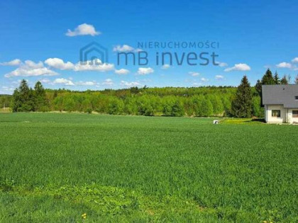 Działka w otoczeniu przyrody-spokój/relaks/natura