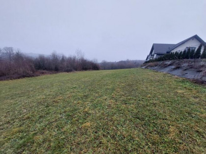 Dzialka Wola Kurowska