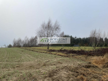 Dobrzewino - działki budowlane