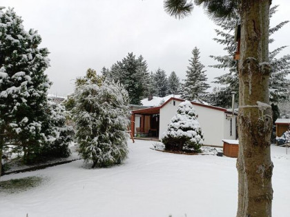 Sprzedam działkę nr 13 ROD Chylice ul Marka Grechuty