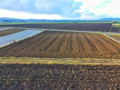 Działka 4271m² Oleszna - zabudowa zagrodowa