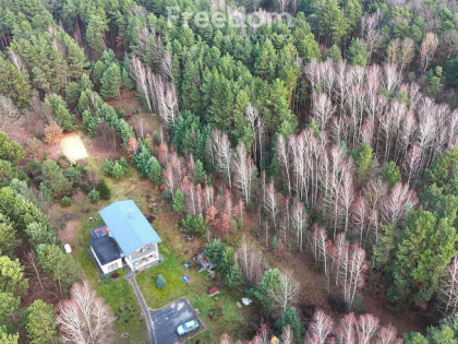 Działka rekreacyjna wśród lasów