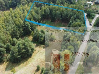 Działka budowla 3117 m2 w Kowali gm. Puławy.