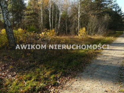 Działka rekreacyjna Budy Zaklasztorne gm. Puszcza Mariańska