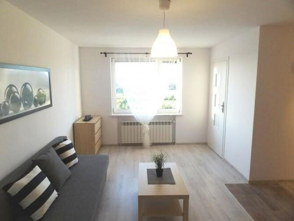 Struzika 6B, Zaborze, przytulne 2 pokoje