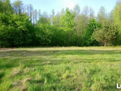 Działka 9000m2 Budowlano rolna asfalt media Dąbrówka