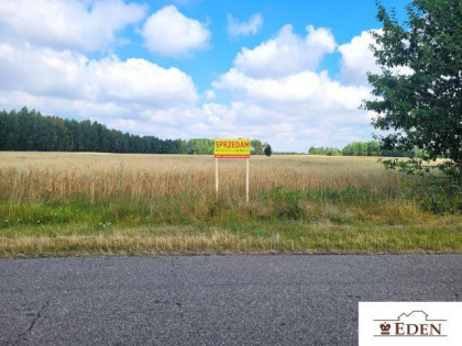 Działka rolno-budowlana Strzyżew gm. Łuków