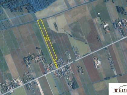 Działka rolno-budowlana Ustrzesz gm. Radzyń Podlaski