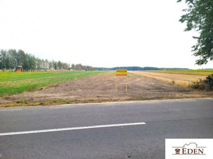 Działka rolno-budowlana Role gm. Łuków