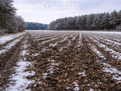 Ziemia rolna kl. III–IVa | Mienia, gm. Cegłów