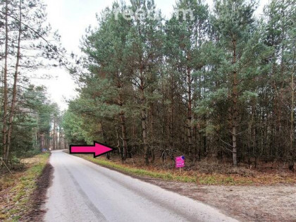 Działka leśna 6000 m2 w Mejznerzynie