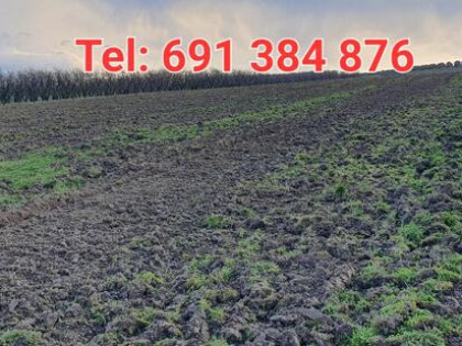 Sprzedam działkę 2ha z przechowalnią