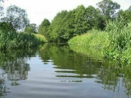 Działka Rolno- Budowlana