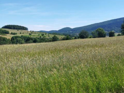 Działka rolna Kobielnik gm. Wiśniowa