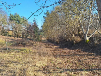 Działka budowlana z prywatnym lasem.