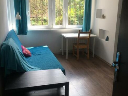 pokój na wynajem ładny, jasny, przestronny.