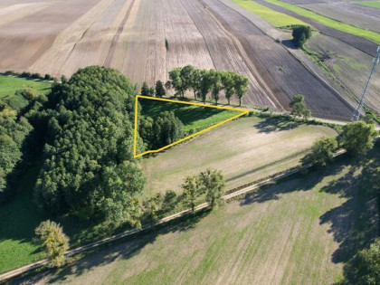 Działka rolna Swoboda gm. Szamocin