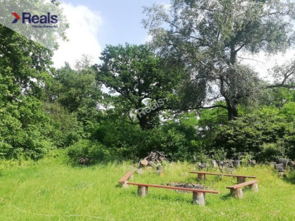 Działka na siedlisko lub dla inwestora, Jabłonna.