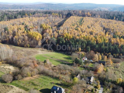 Działka inwestycyjna Cisów 22 500 m²