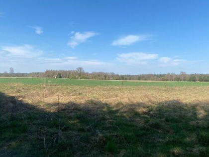 Działka Przybiernów