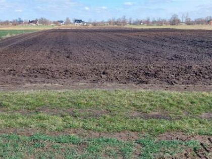 Działka rolno-budowlana Cichów gm. Brudzew