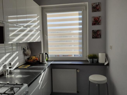 2 pokojowe mieszkanie z osobną kuchnią