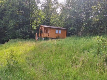 Domek letniskowy wśród drzew