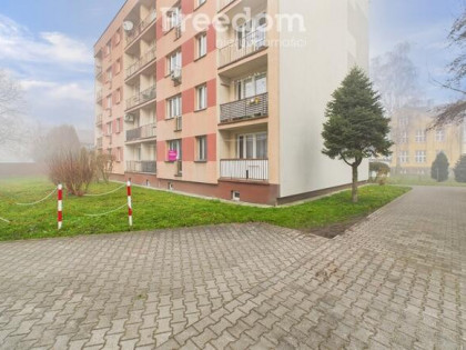 29 grudnia zapraszam na Dzień Otwarty!