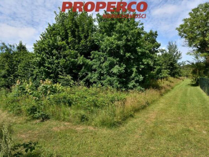 Działka Samsonów gm. Zagnańsk Komorniki