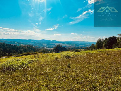 Działka rolno-budowlana Siemiechów gm. Gromnik