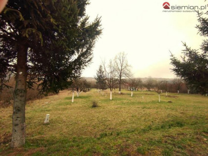 Działka budowlana Rogoźnik gm. Bobrowniki