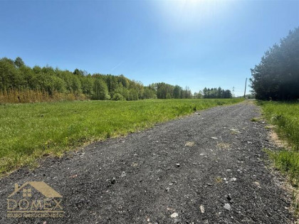 Działka leśna Mszana