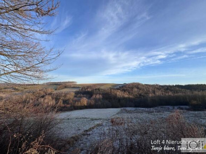 Działka leśna Rzepiennik Strzyżewski