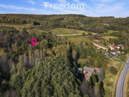 Działka widokowa z lasem | 24a